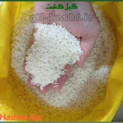قیمت برنج صدری هاشمی درجه یک ممتاز گیلان صددرصد خالص