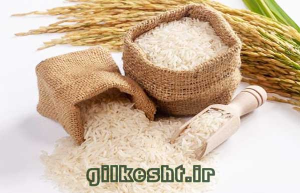 برنج هاشمی ممتاز