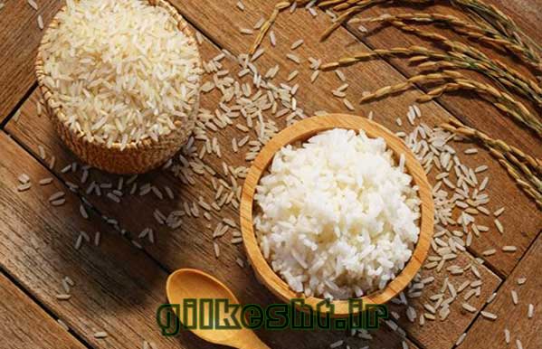 برنج هاشمی شمال