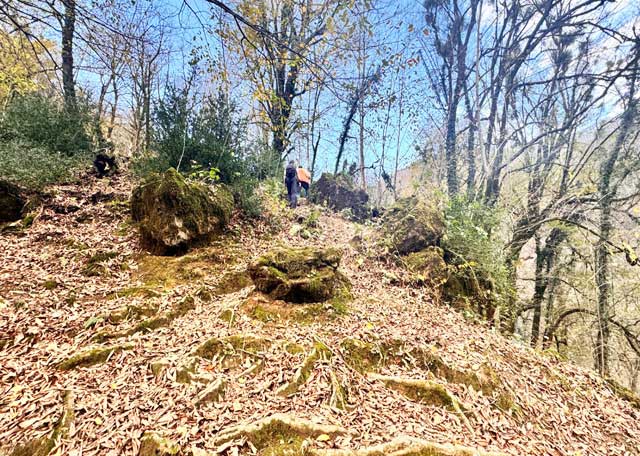 مسیر پلکانی و جنگلی قلعه رودخان