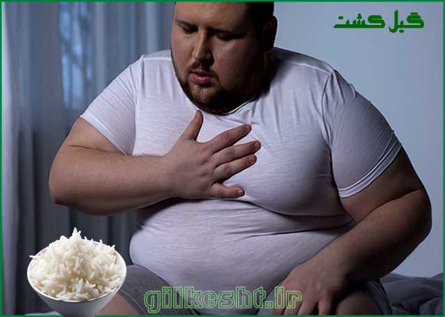 مضرات خوردن برنج افراد چاق