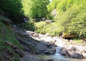 آدرس کوربار ماسوله