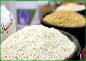 آیا قیمت برنج هاشمی و ایرانی در سال 1404 افزایش پیدا می‌کند؟
