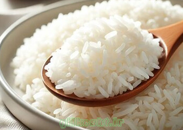 برنج هاشمی دم سیاه