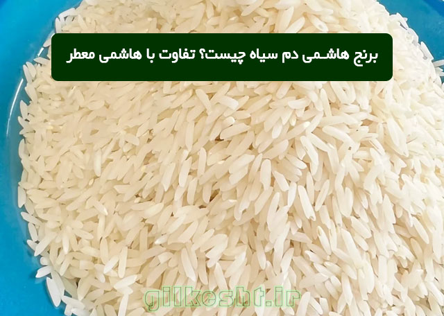 برنج هاشمی دم سیاه چیست؟ تفاوت با هاشمی معطر