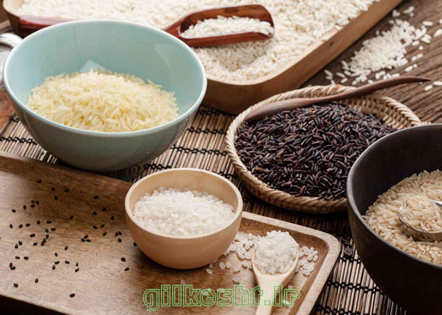خواص انواع برنج