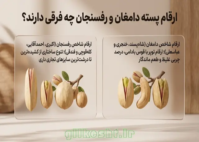 ارقام پسته دامغان و رفسنجان چه فرقی دارند
